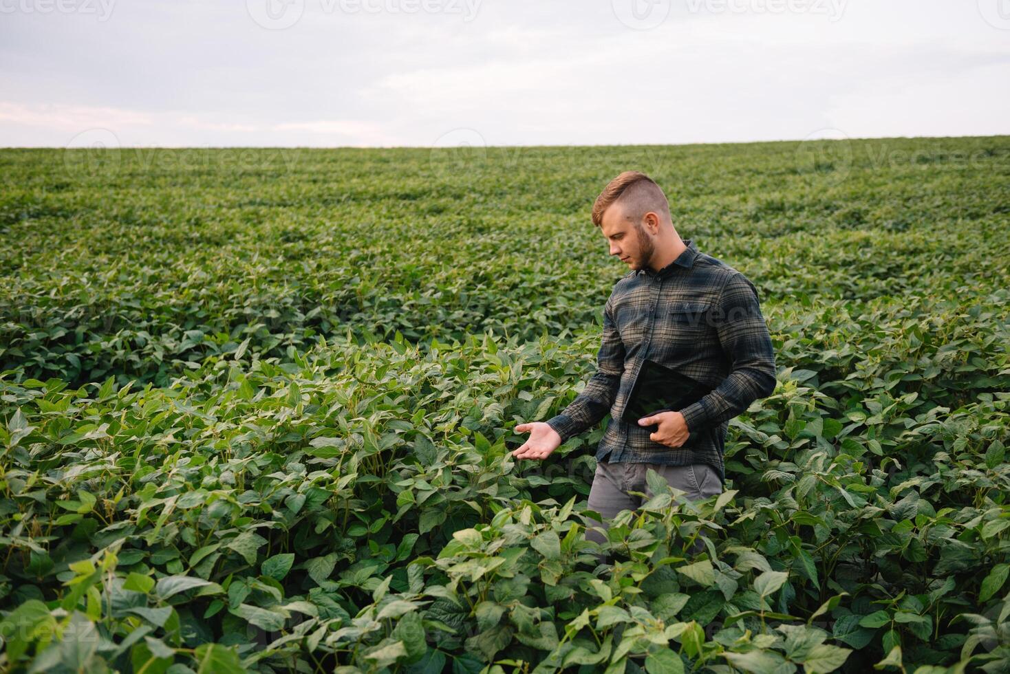 jung Farmer im abgelegt Prüfung Sojabohne Corp. er ist Daumen oben foto