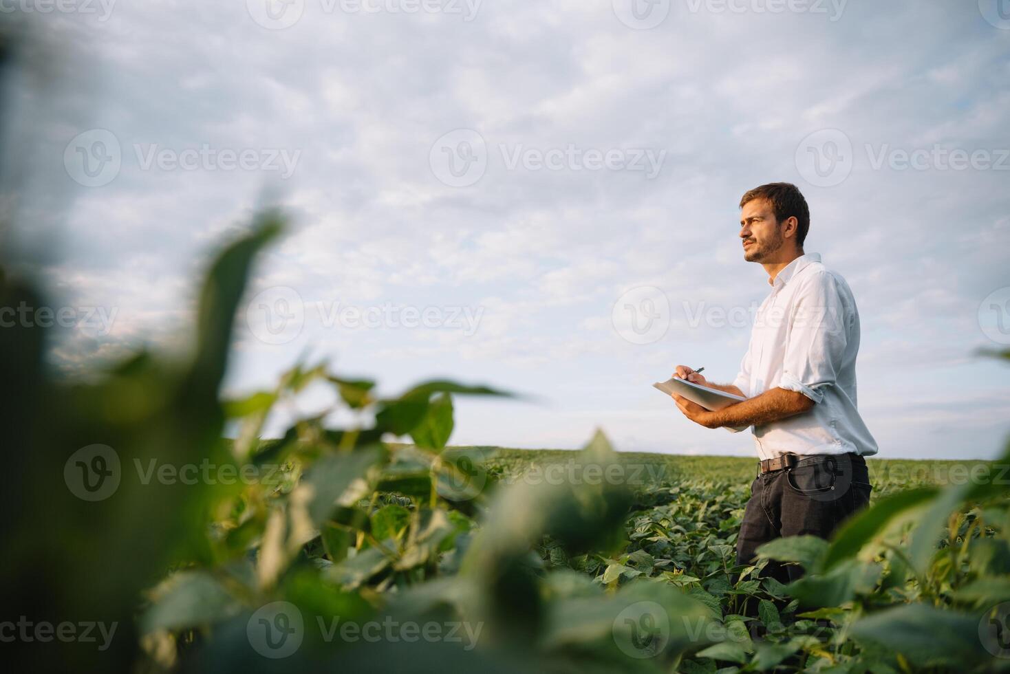 jung Farmer im abgelegt Prüfung Sojabohne Corp. er ist Daumen oben foto