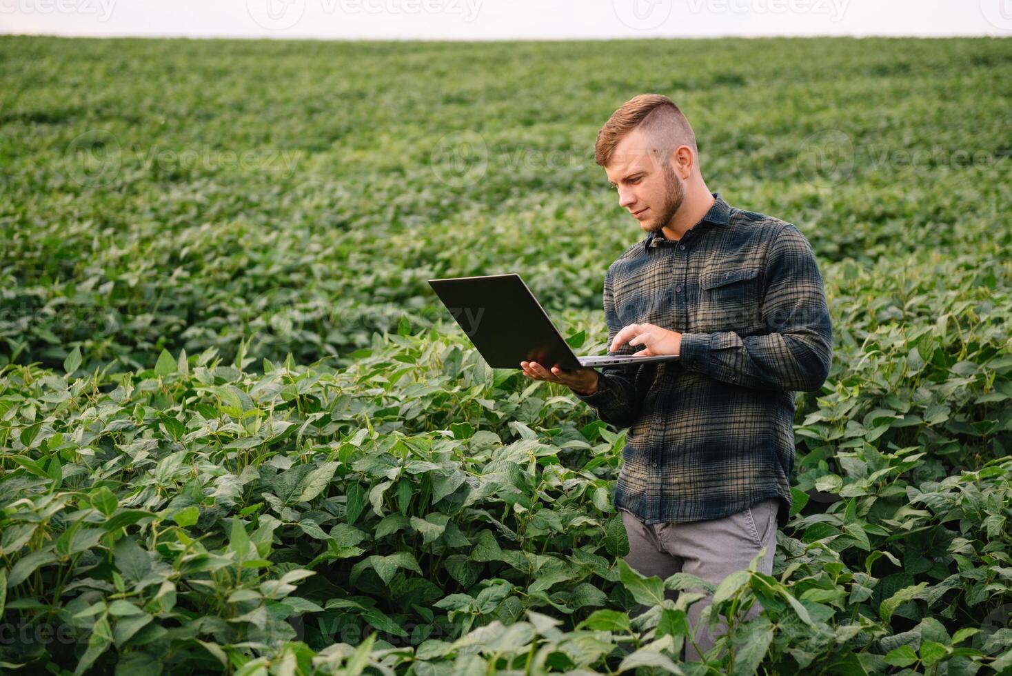 jung Agronom hält Tablette berühren Pad Computer im das Soja Feld und Prüfung Pflanzen Vor Ernte. Landwirtschaft Konzept. landwirtschaftlich Ingenieur Stehen im ein Soja Feld mit ein Tablette im Sommer. foto