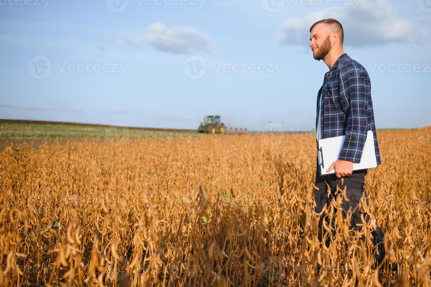 Bewaffneter inspiziert Sojabohnen Vor Ernte. das Konzept von landwirtschaftlich Industrie foto