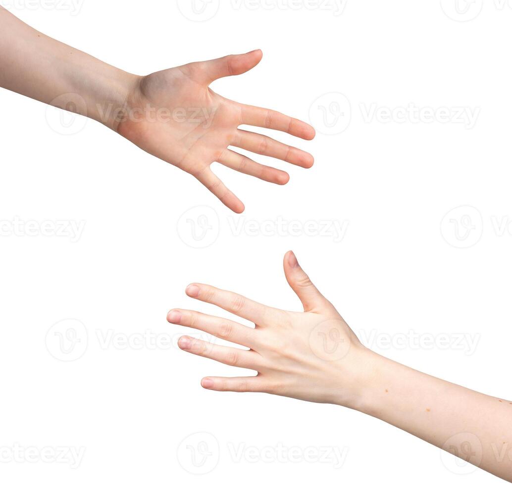 weiblich Hand Gesten, Weiß Hintergrund. Palme und Finger im dorsal Sicht, zeigen Zeichen, nonverbal foto