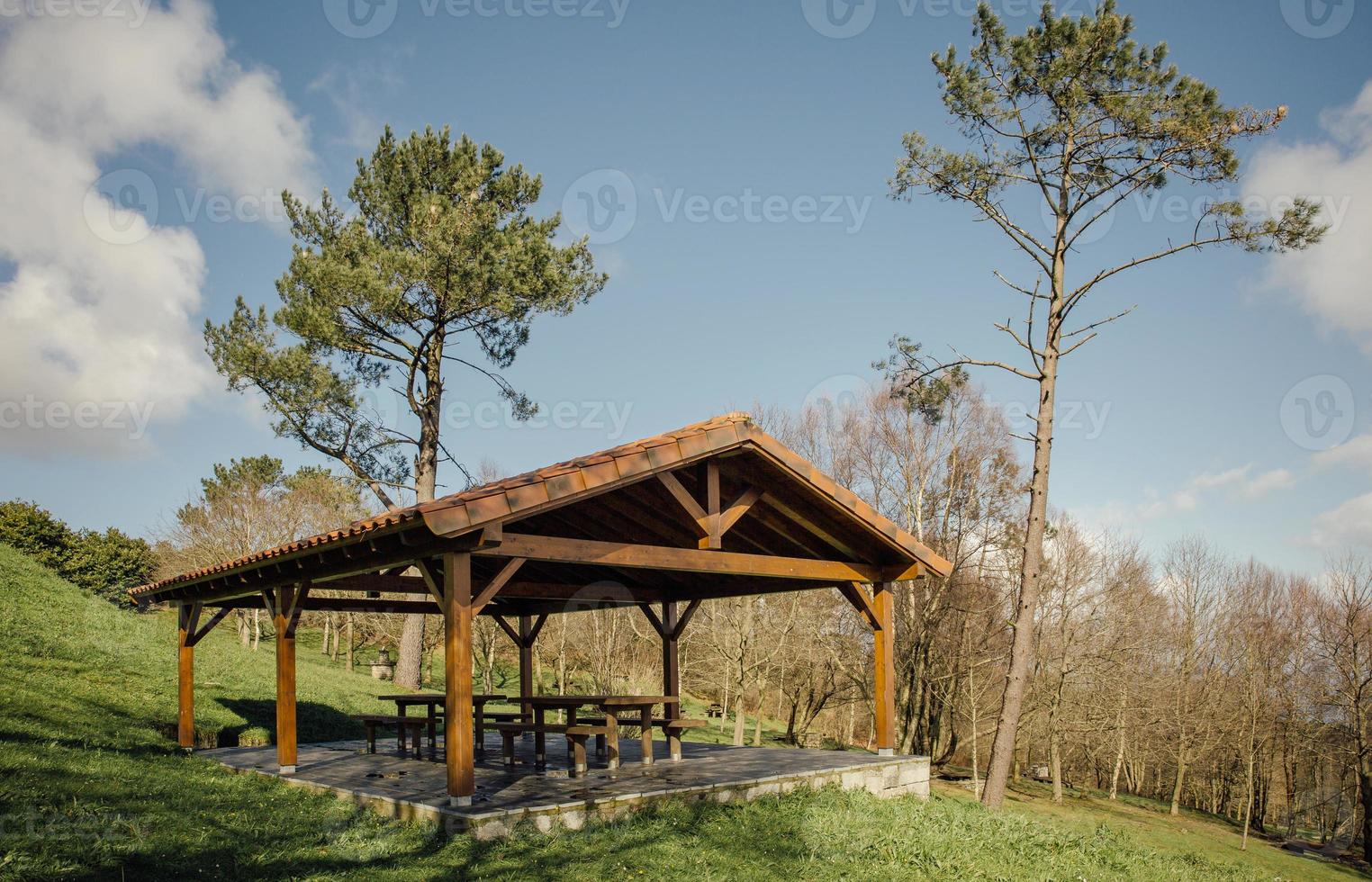 Pavillon mit Picknicktischen über Naturhintergrund foto