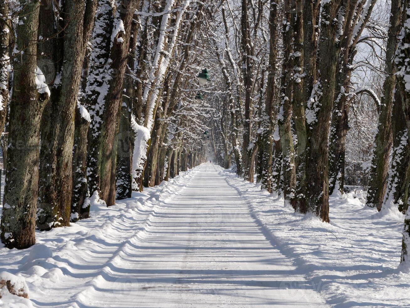 Straßen im das Stadt sind bedeckt im Schnee nach ein groß Schneefall. Winter Jahreszeit. Vorsichtig Fahren im Winter Bedingungen. gefroren und rutschig Straßen. Vorsichtsmaßnahmen während Fahren. foto