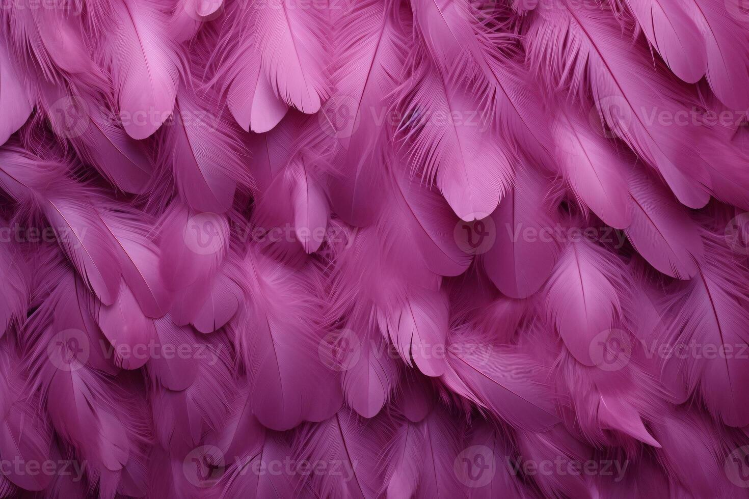 Rosa flauschige Gefieder Hintergrund, Rosa Gefieder Muster, schön Gefieder Hintergrund, Gefieder Hintergrund, Vogel Gefieder Muster, foto