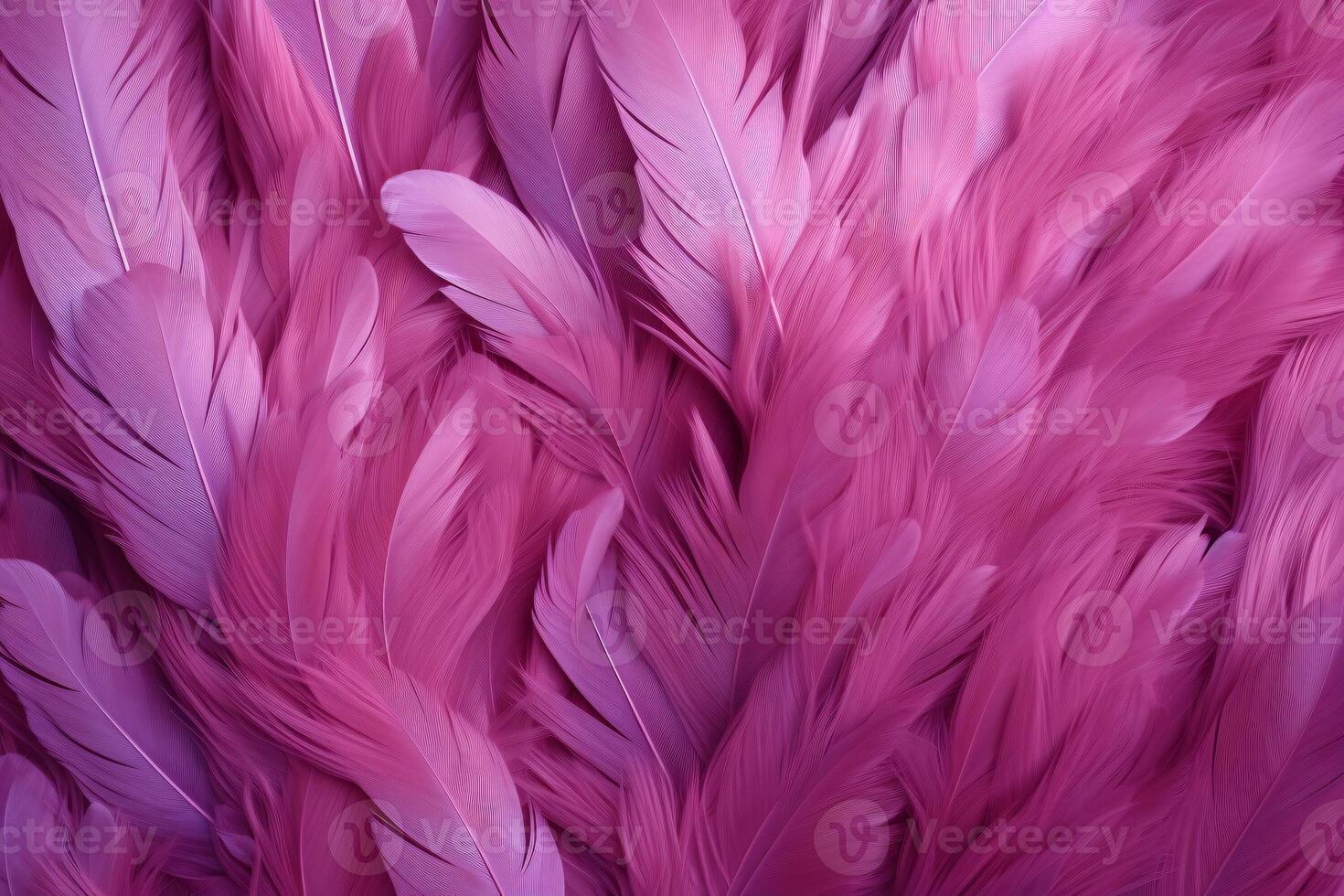 Rosa flauschige Gefieder Hintergrund, Rosa Gefieder Muster, schön Gefieder Hintergrund, Gefieder Hintergrund, Vogel Gefieder Muster, foto