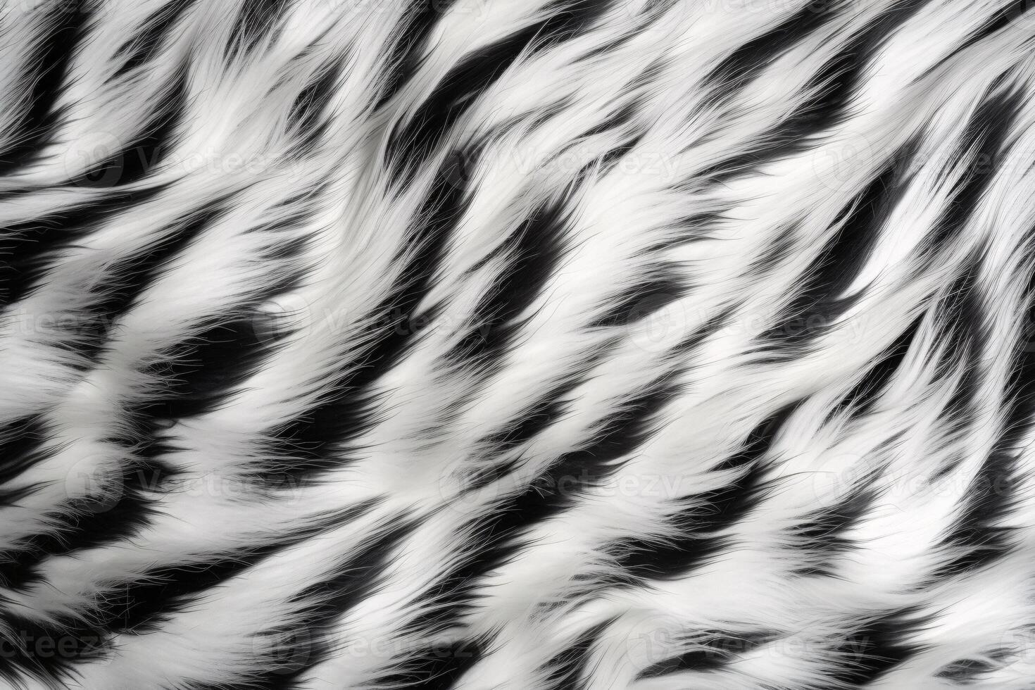 Zebra Haut Pelz Textur, Zebra Pelz Hintergrund, flauschige Zebra Haut Pelz Textur, Zebra Haut Pelz Muster, Tier Haut Pelz Textur, Zebra drucken, foto