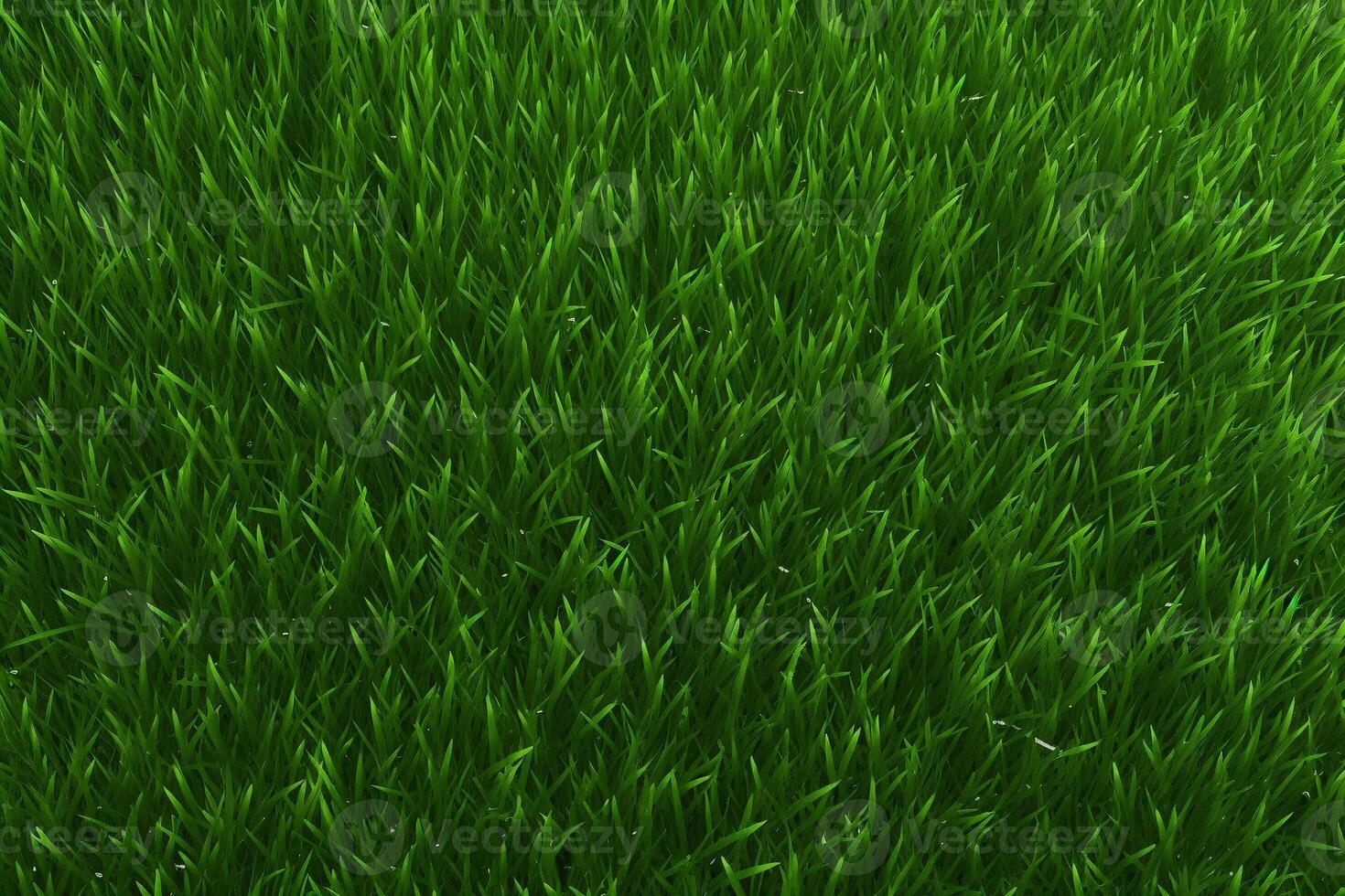 Grün Gras Textur, Gras Hintergrund, Gras Textur Hintergrund, oben Aussicht Grün Gras Textur, foto