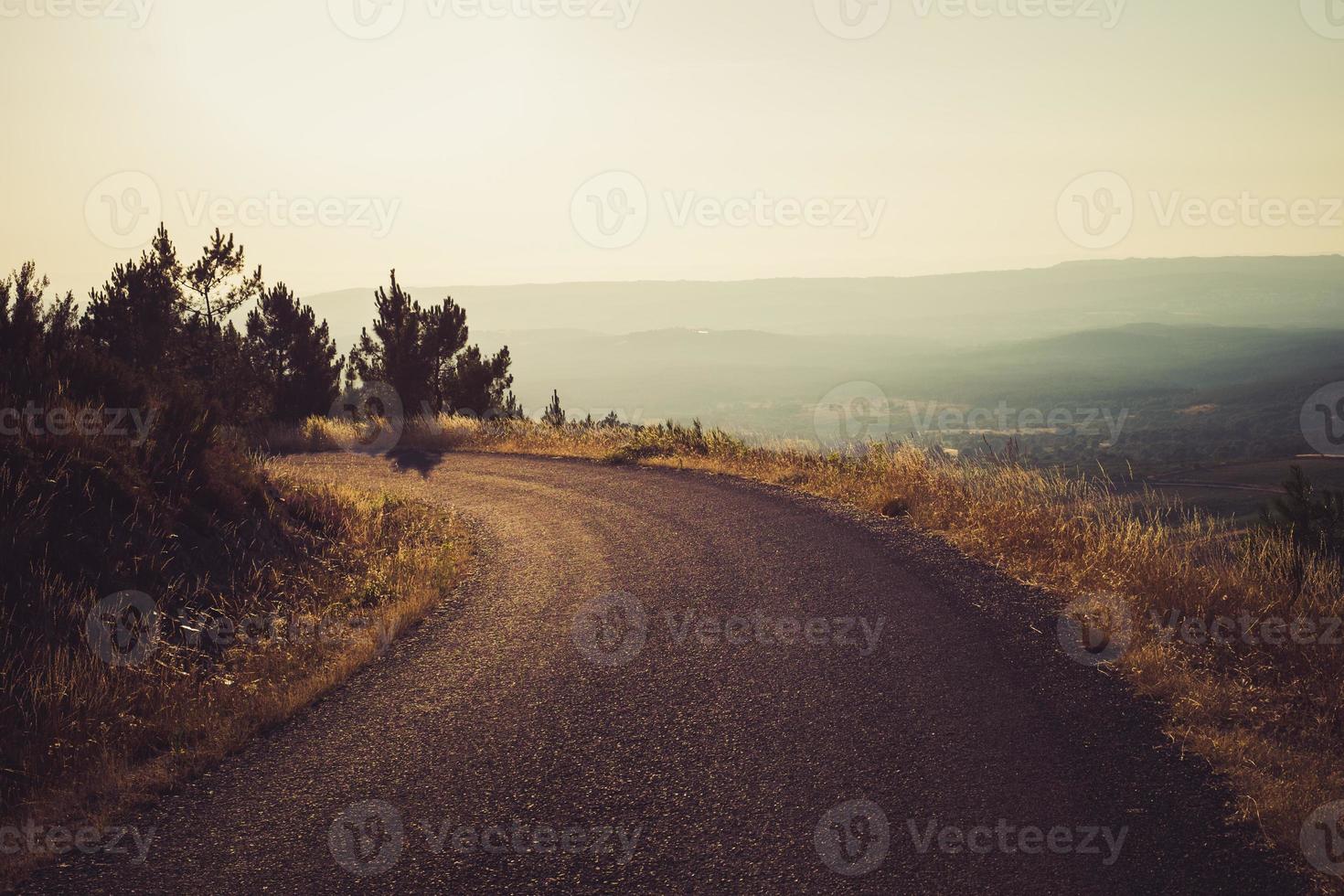 alte Straße zum Wald foto