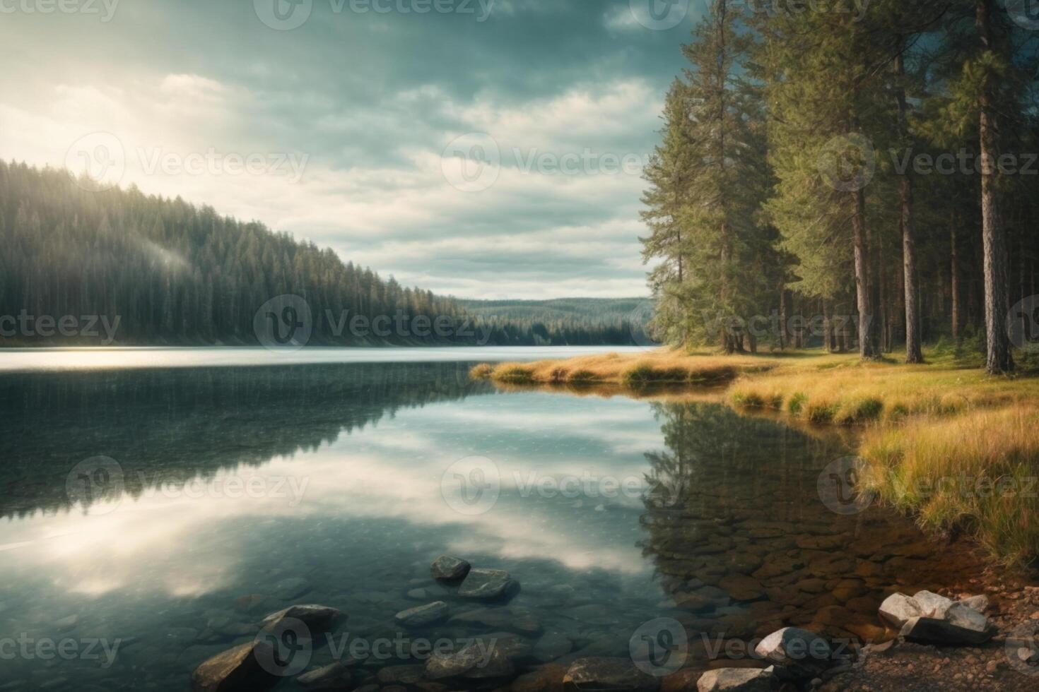 ein Fluss im das Wald mit Nebel und Bäume foto