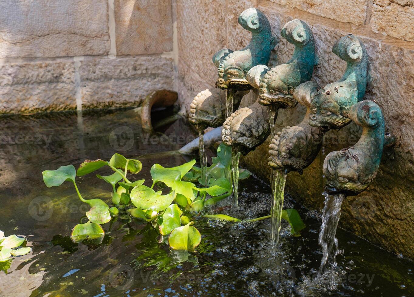 das Kirche von das Multiplikation von das Brote und das Fische, taba, Israel. Brunnen mit Bronze- Fische. hoch Qualität Foto