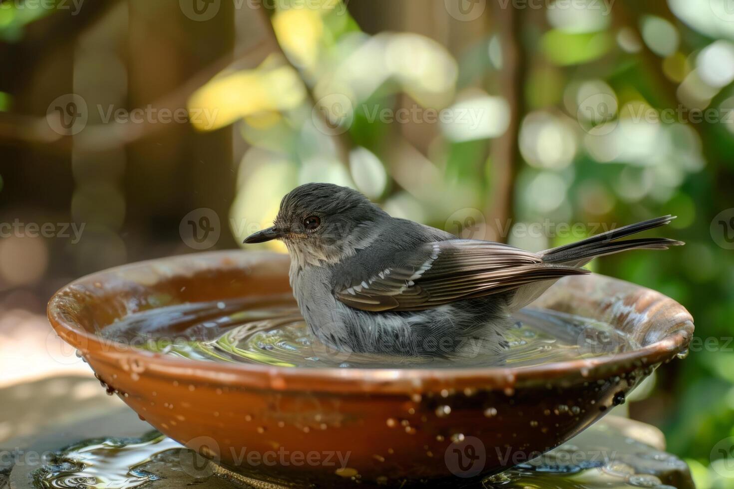 grau Vogel thront im schattiert Garten Vogelbad. foto