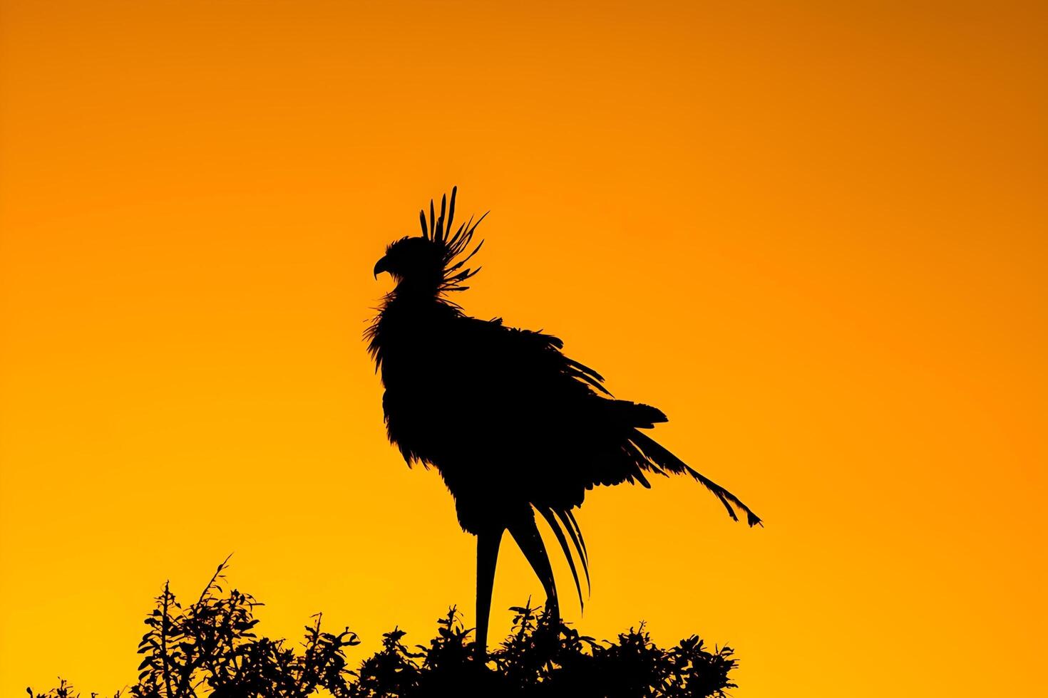 ein Vogel steht auf oben von ein Baum im das Sonne foto