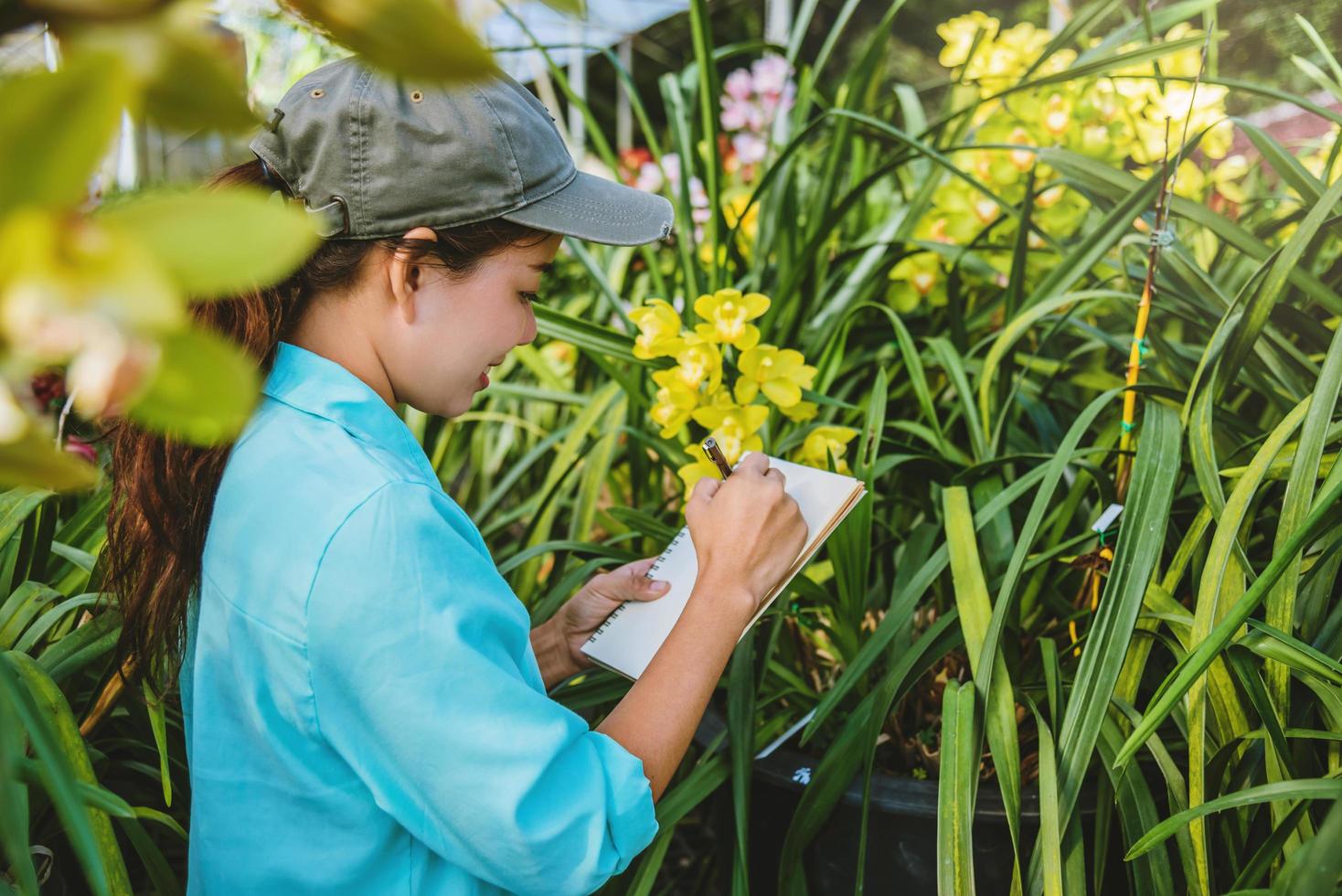 junge Frauen schreiben Hinweis unter Orchideengarten. bunte Orchideen, Orchideenblüte. foto