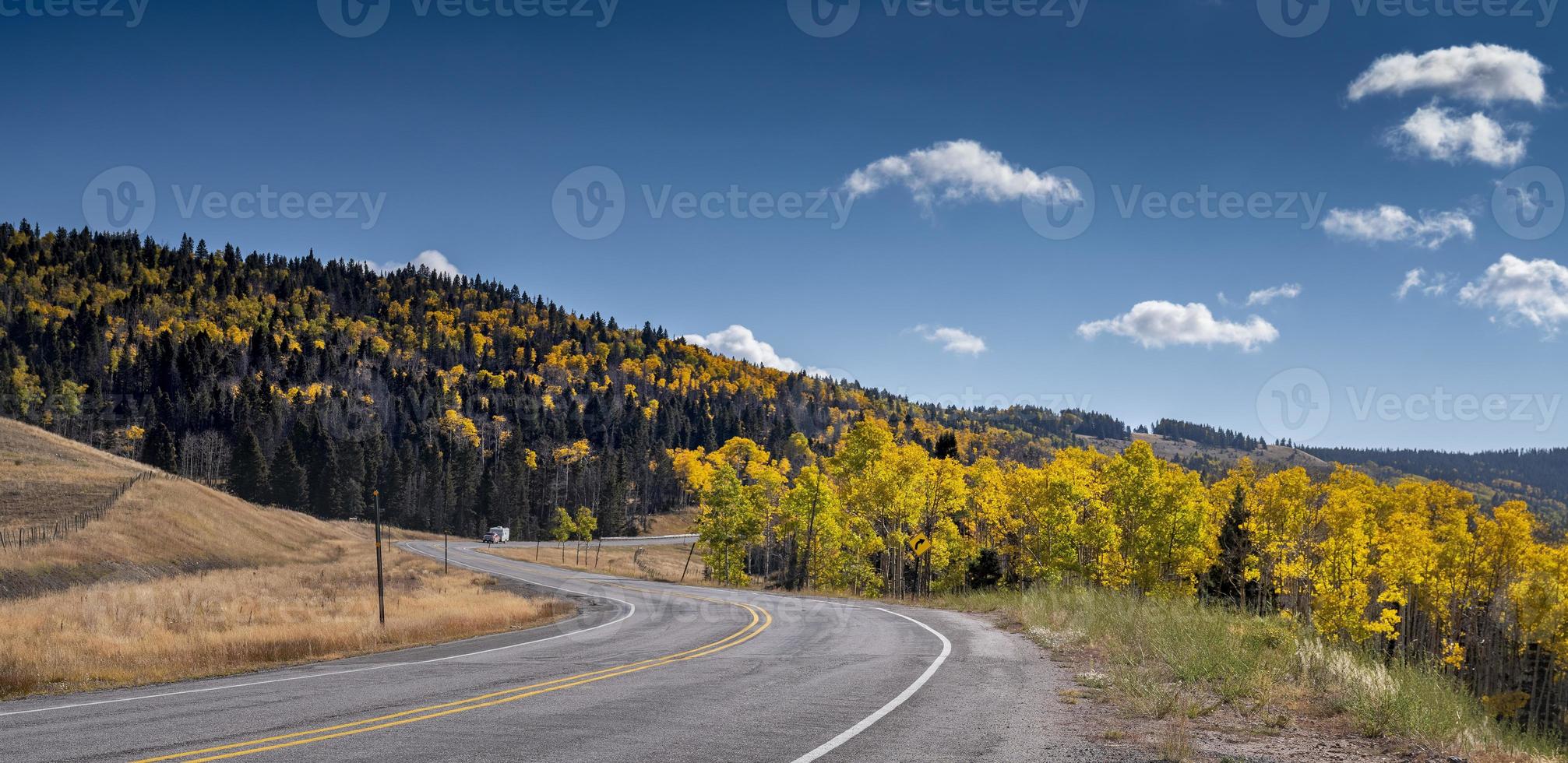 Fallen Sie Espen entlang des Highway 8, im Norden von New Mexico foto