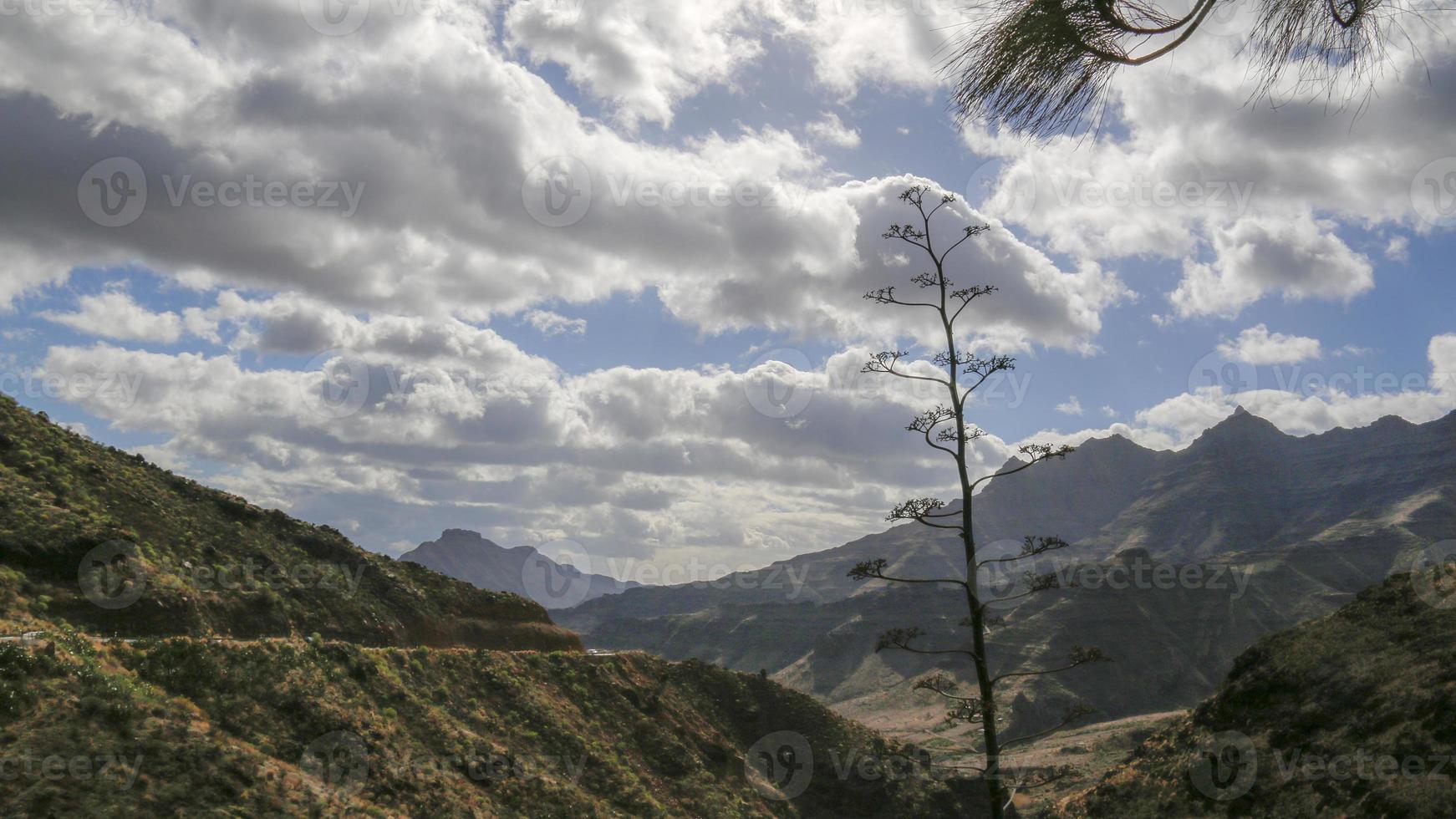 Kanarische Inseln, Gran Canaria, Spanien foto