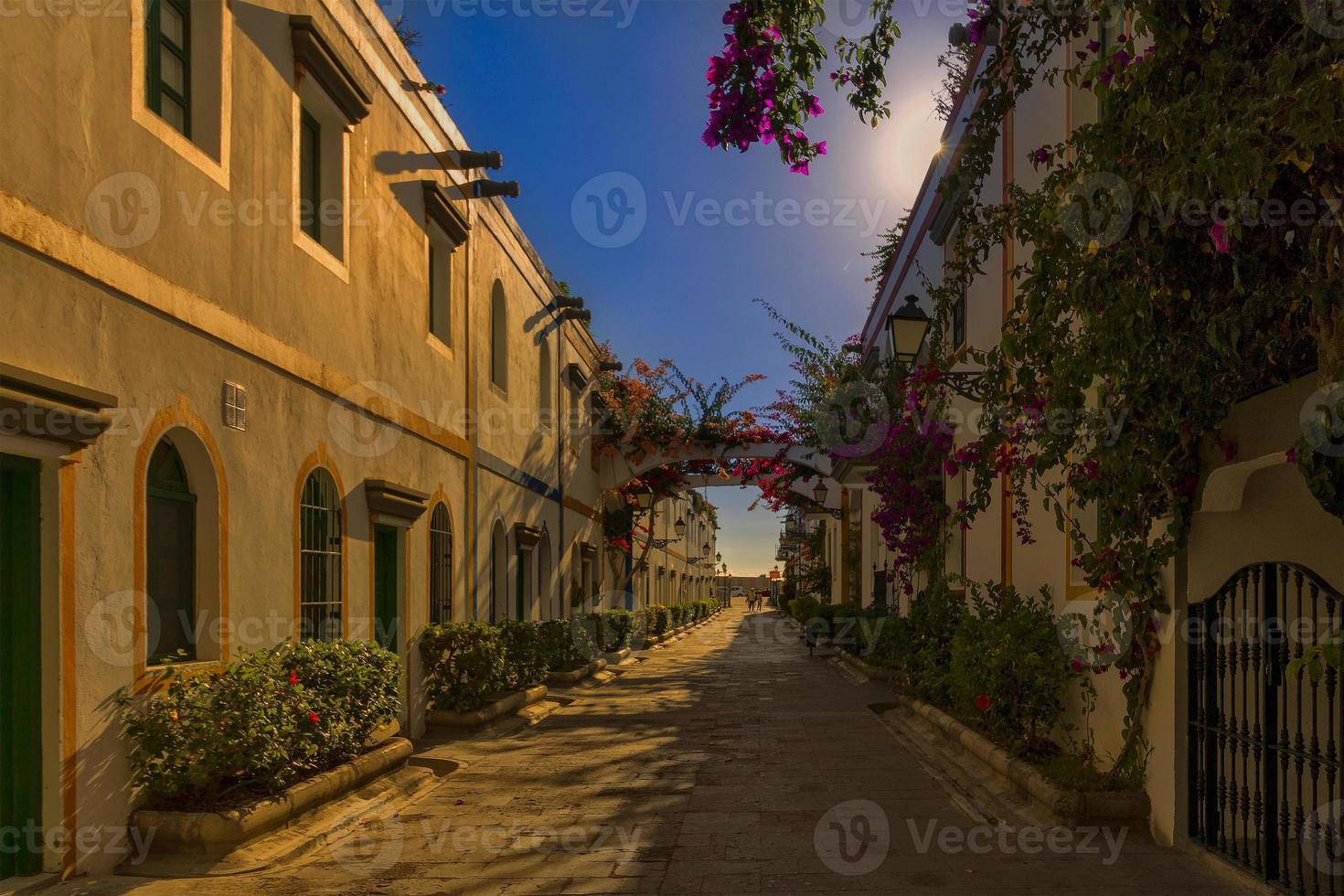 Kanarische Inseln, Gran Canaria, Spanien foto