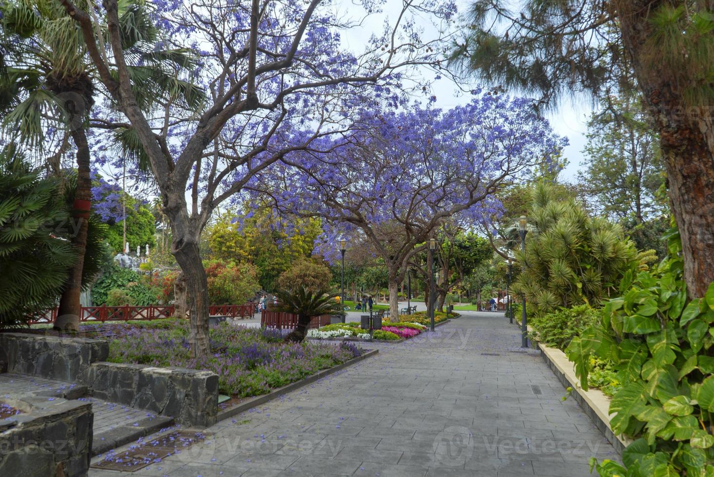 Kanarische Inseln, Gran Canaria, Spanien foto