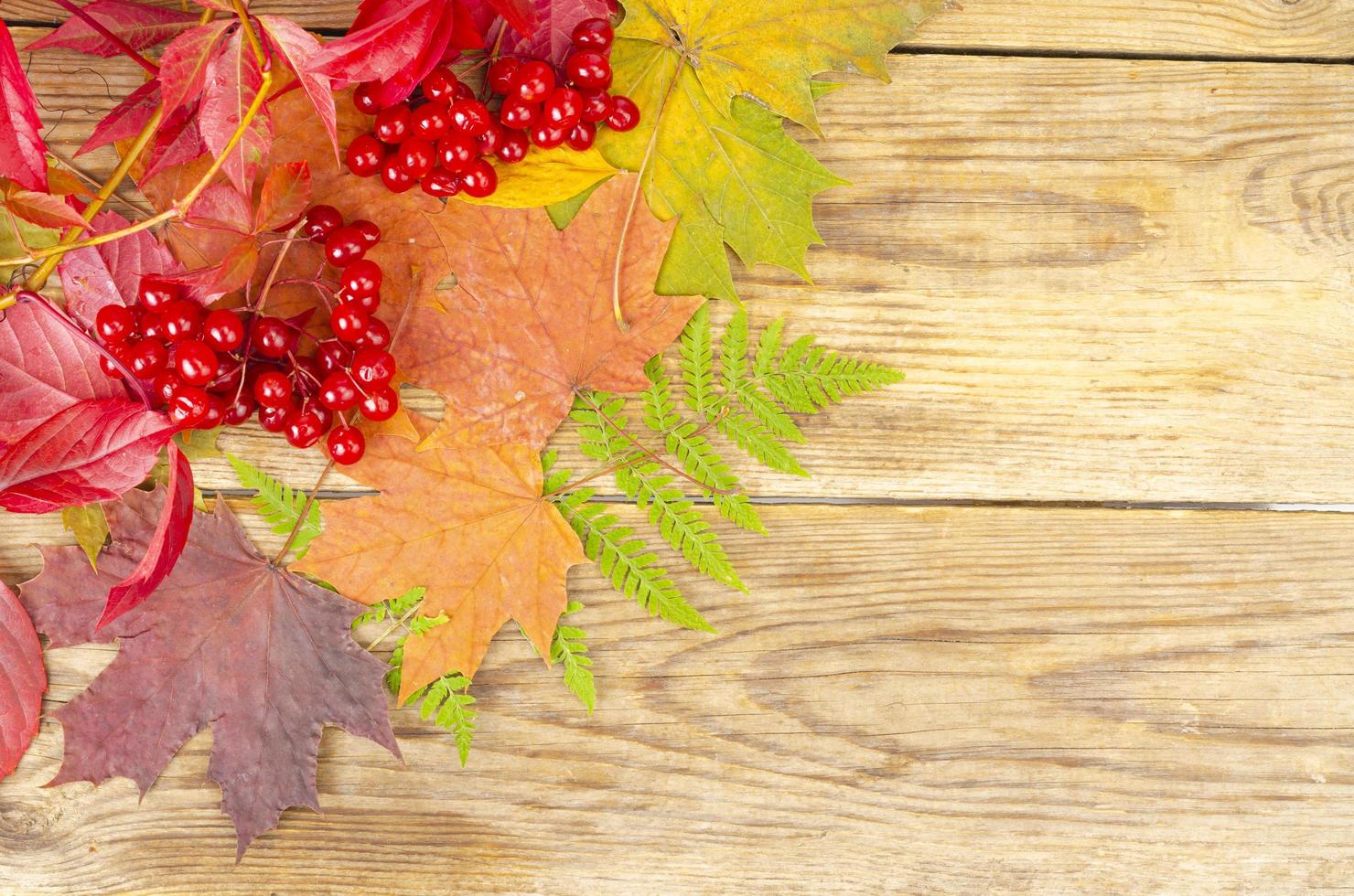 Collage, Rahmen aus hellen Herbstblättern und Beeren auf Holzhintergrund. Studiofoto foto