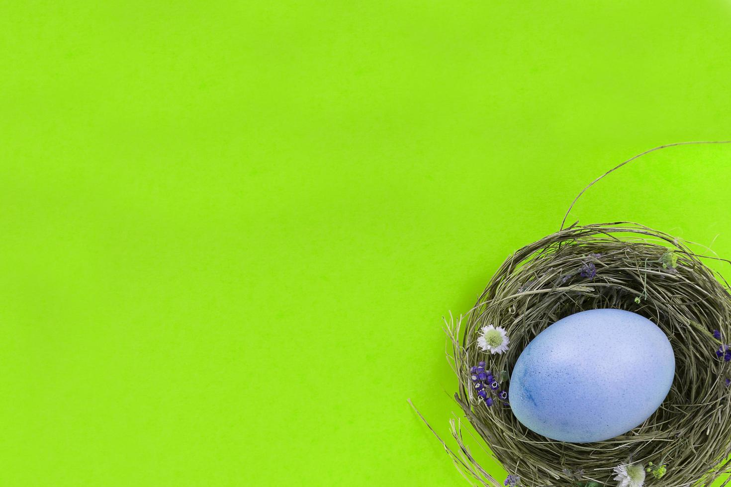 bunter Hintergrund mit Ostereiern auf grünem Hintergrund. Frohe Ostern-Konzept. kann als Poster, Hintergrund, Weihnachtskarte verwendet werden. flach legen, draufsicht, kopierraum. Studiofoto foto