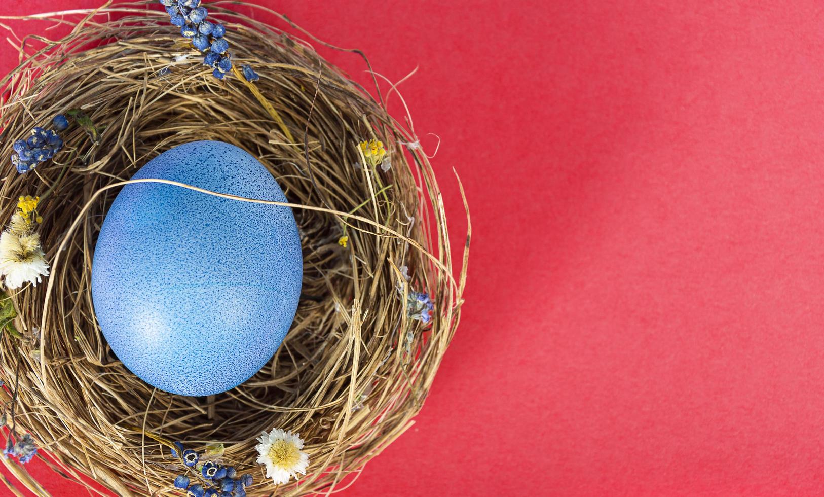 bunter Hintergrund mit Ostereiern auf rotem Grund. Frohe Ostern-Konzept. kann als Poster, Hintergrund, Weihnachtskarte verwendet werden. flach legen, draufsicht, kopierraum. Studiofoto foto