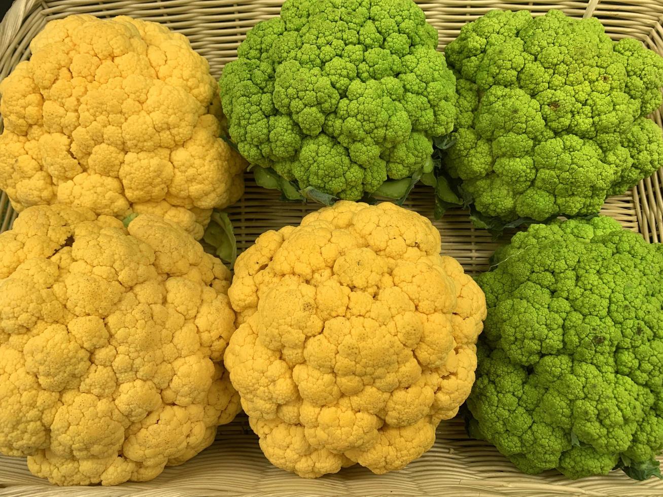 Varianten frisches Bio-Gemüse und Obst im Regal im Supermarkt, Bauernmarkt. Konzept für gesunde Ernährung. foto