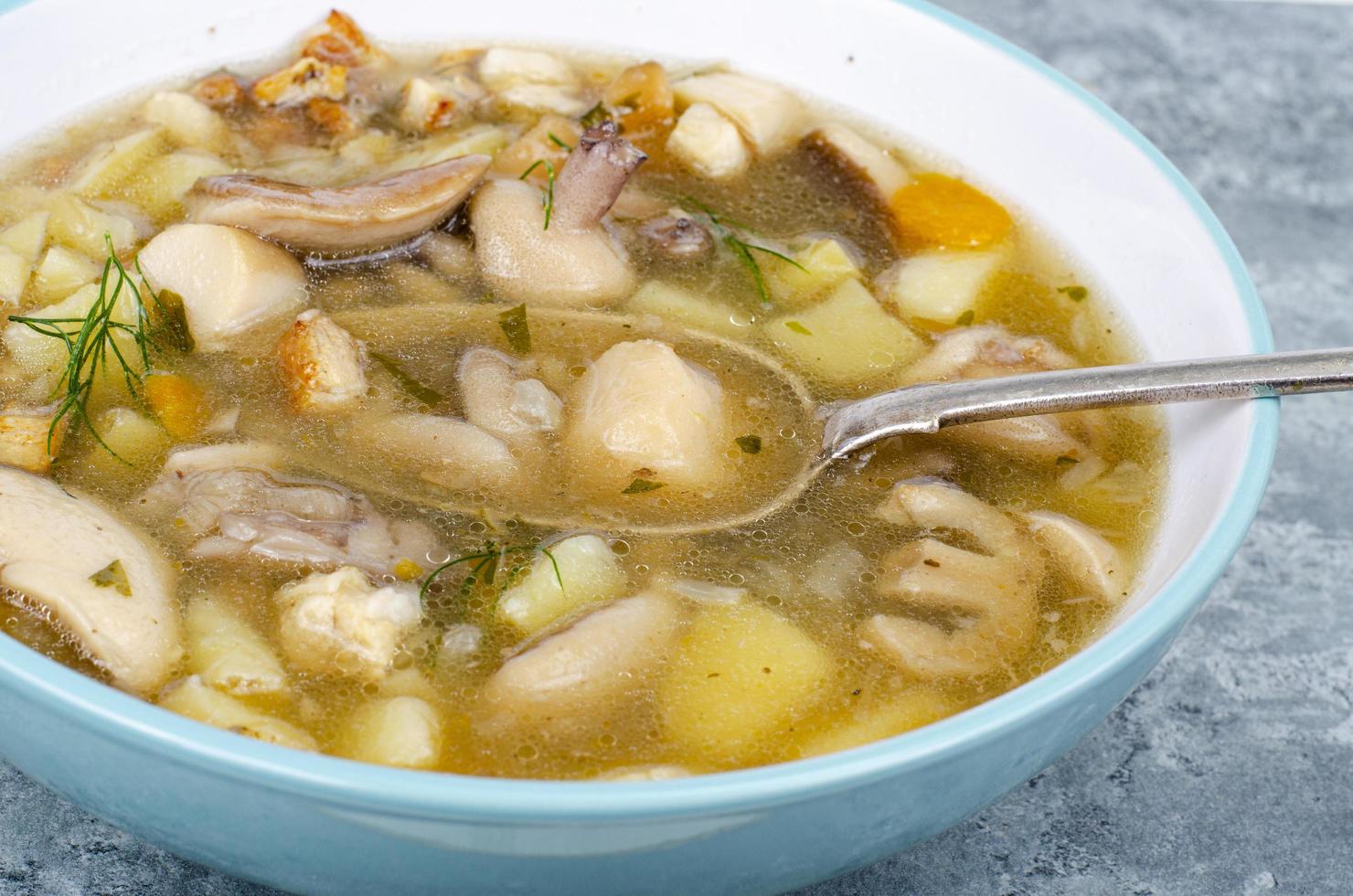 köstliche hausgemachte Suppe mit Waldpilzen. Studiofoto. foto