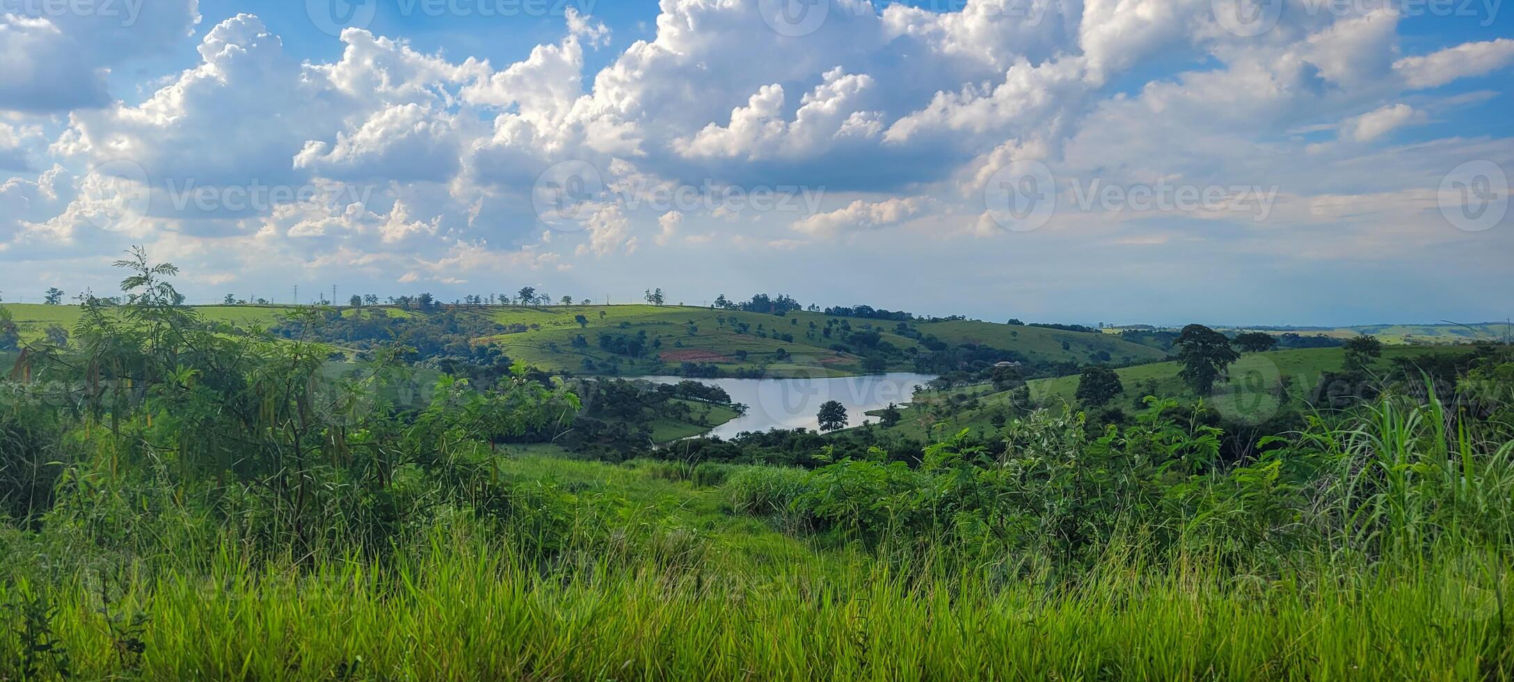 tropisch natürlich See mit Vegetation und Weiß Reiher foto