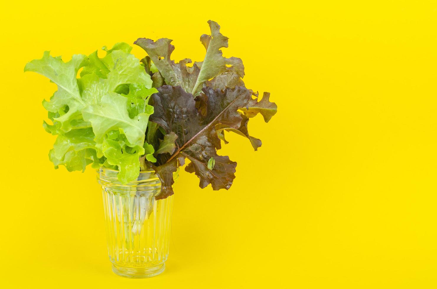 bunte Salatblätter auf leuchtend gelbem Hintergrund. Studiofoto. foto