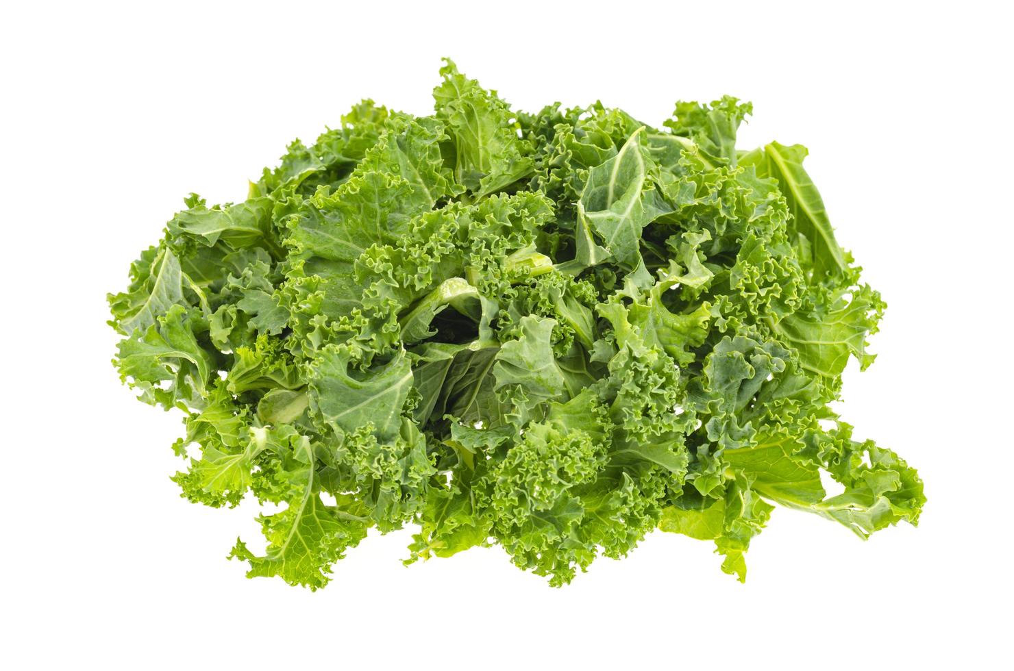 frische grüne Grünkohlblätter. vegetarisches Menü, gesunde Ernährung foto