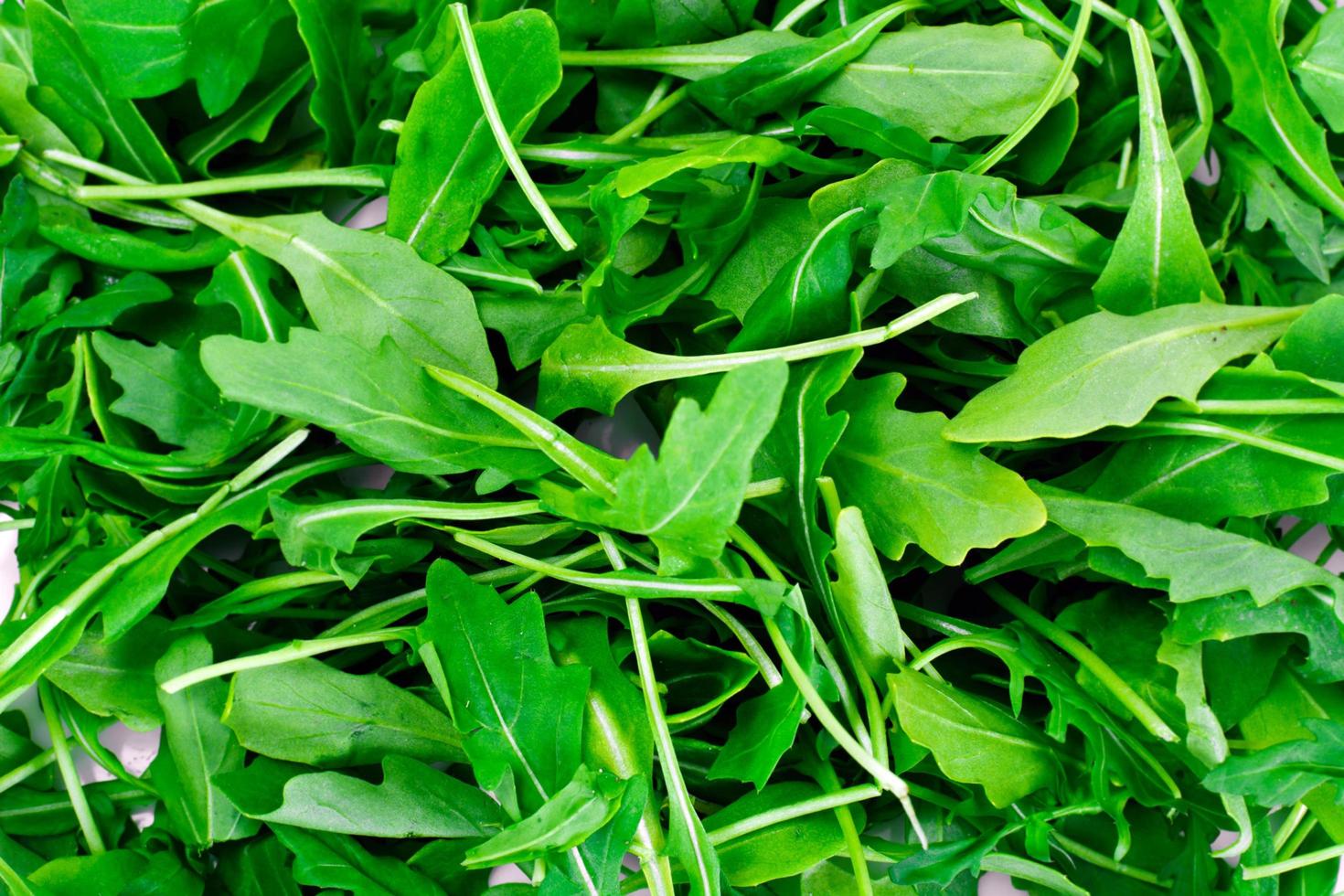 frischer grüner Rucola foto