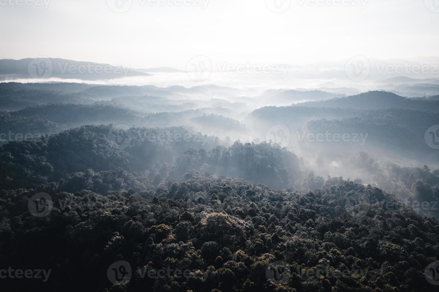 Luftaufnahme des goldenen Reisterrassenfeldes am Morgen foto