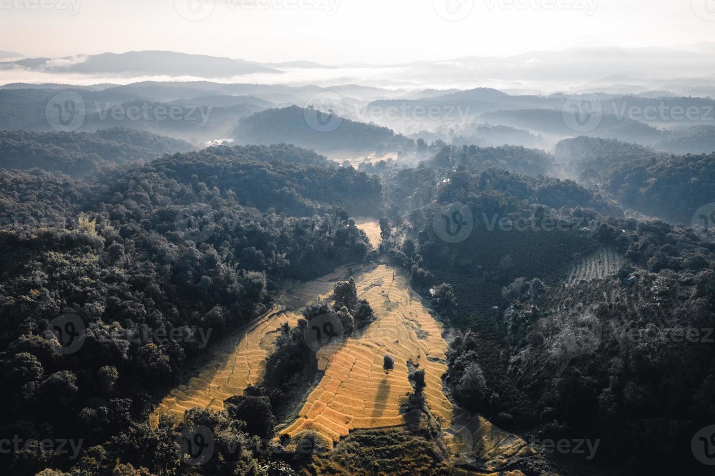 Luftaufnahme des goldenen Reisterrassenfeldes am Morgen foto