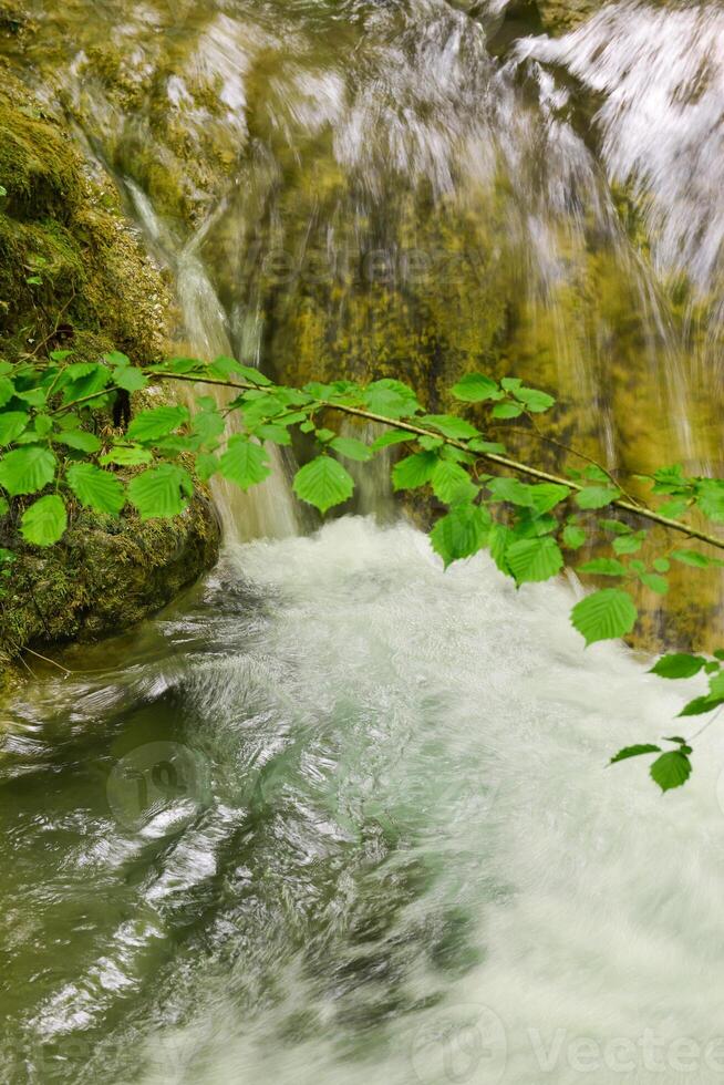 Berg Strom im das Wald - - lange Exposition und fließend Wasser foto