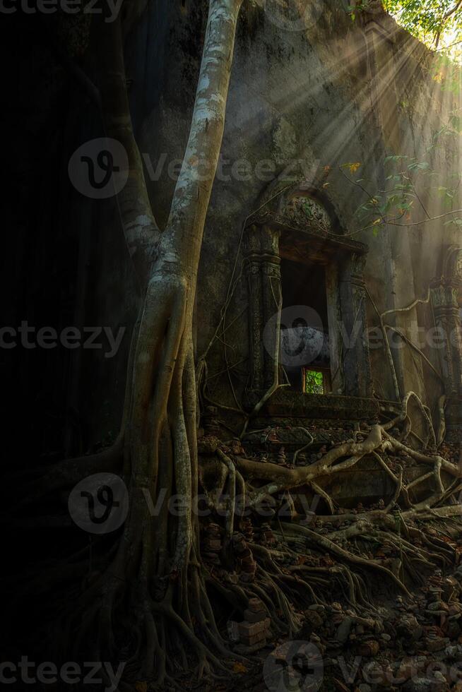 das uralt Tempel hat ein bedeckt Baum Wurzel. foto