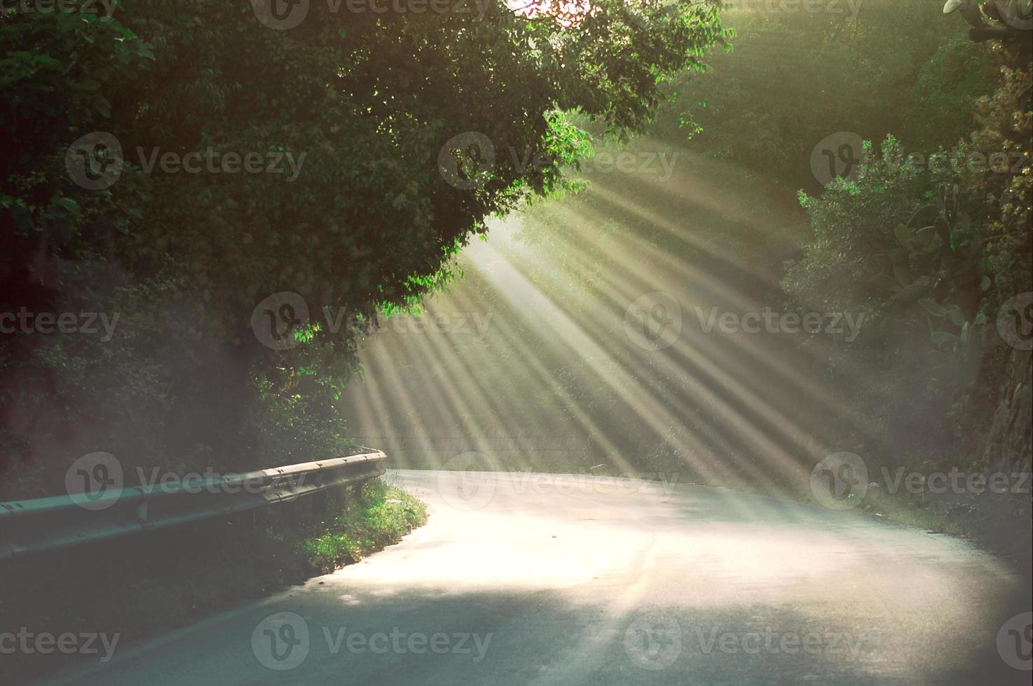 Morgensonnenstrahlen dringen in die Blätter der Bäume ein und der Nebel steigt in die Luft.Naturlandschaft foto