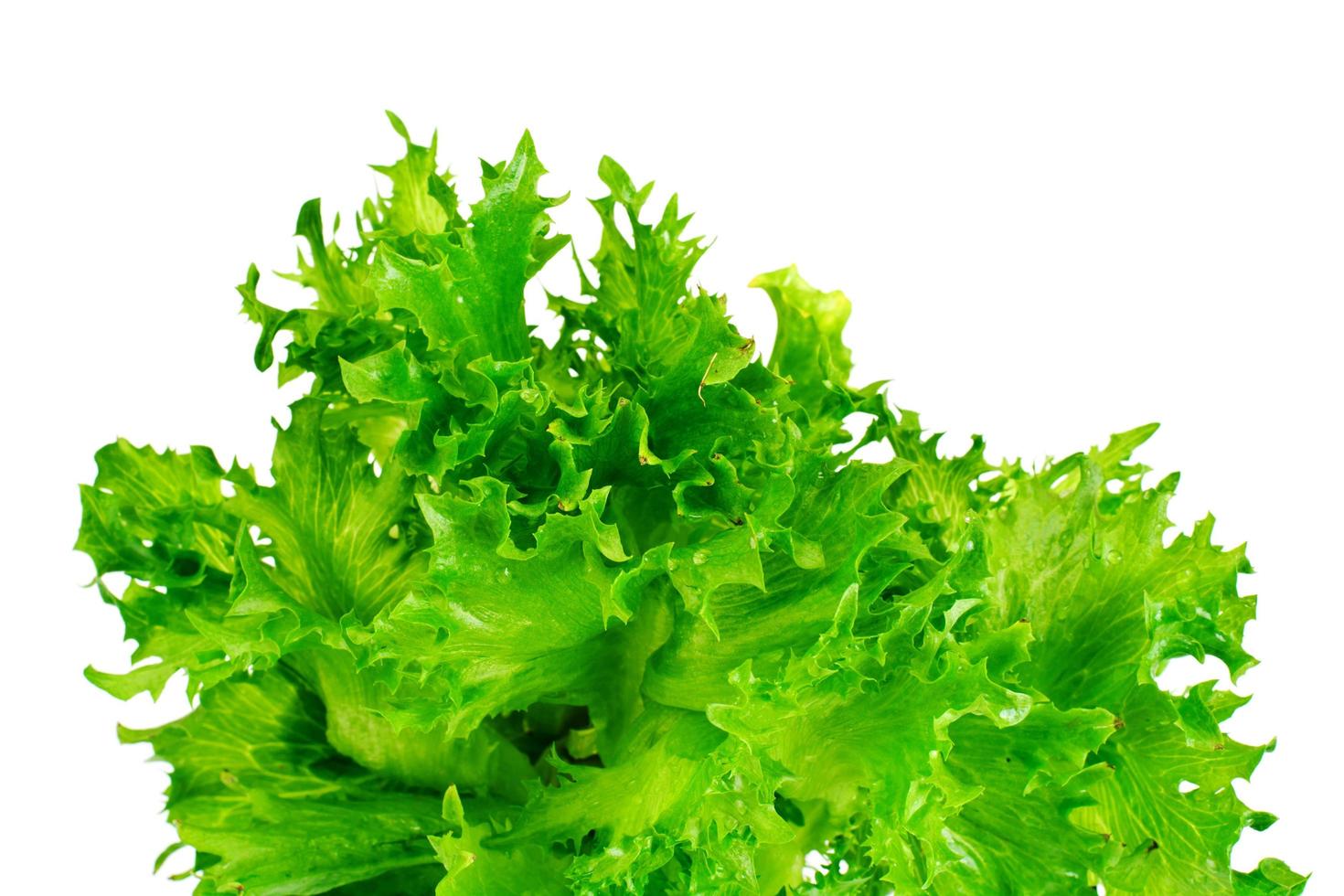grüner frischer Salat foto