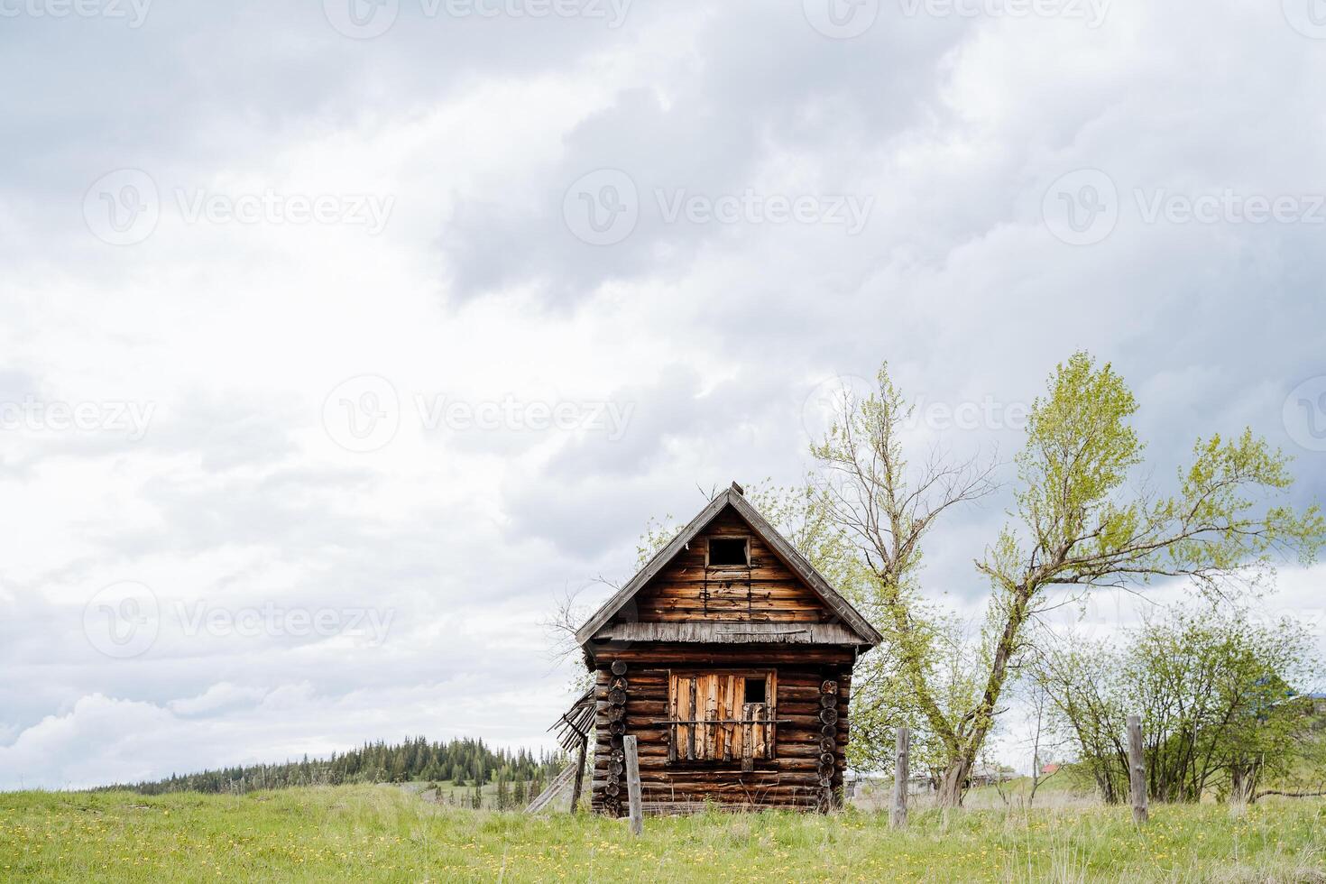 ein verlassen hölzern Haus steht auf ein vakant viel, baufällig alt Gehäuse, ein hölzern Hütte, ein Dorf Haus, ein Einsiedler Wohnung, Verwüstung im ein Feld. foto