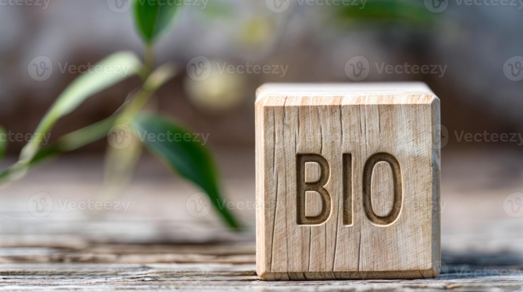 bio hölzern Zeichen mit organisch Natur Thema und Umwelt Fokus foto