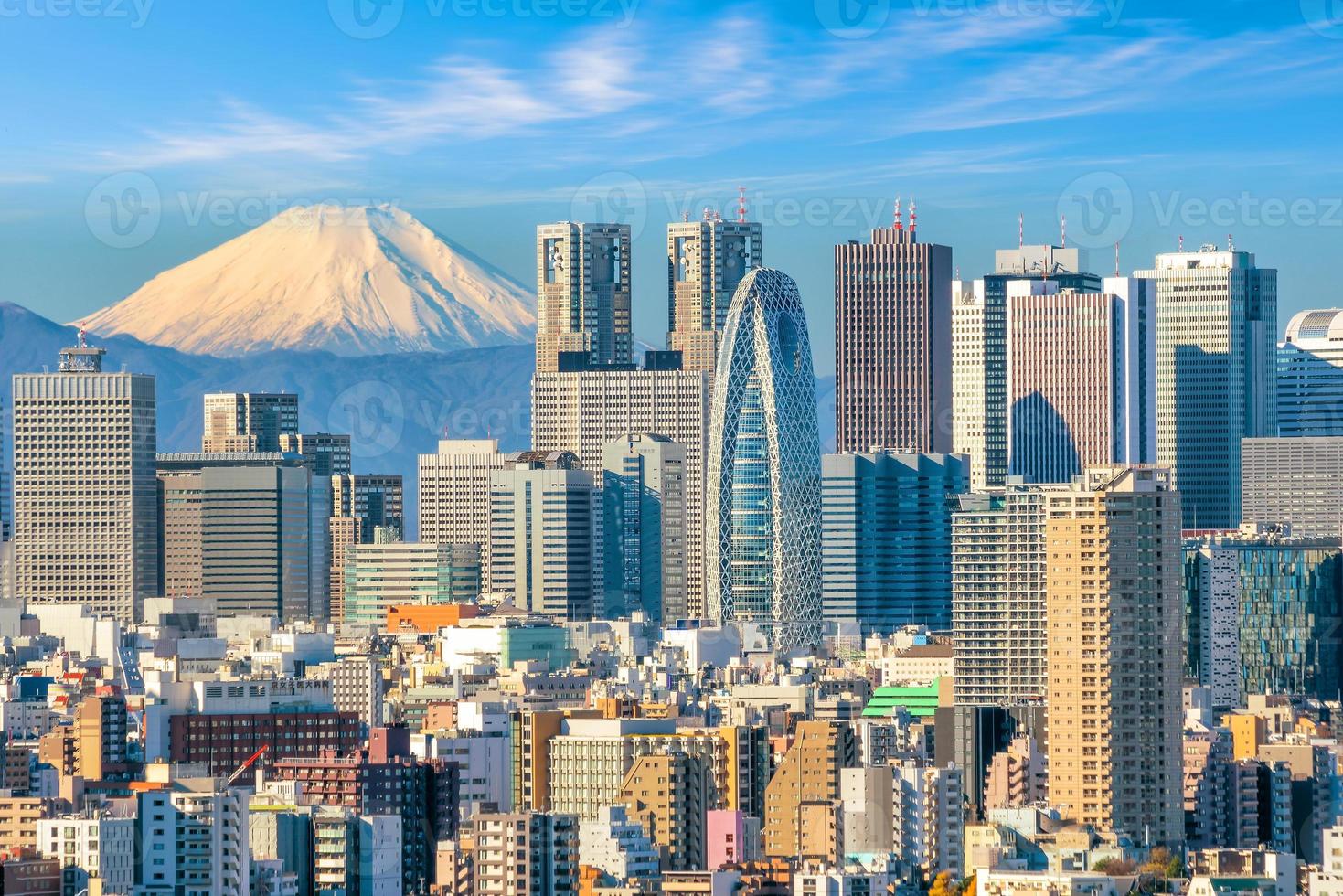 Tokyo Skyline und Berg Fuji foto