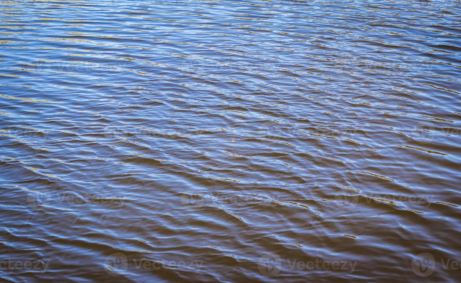 Konzept Schuss von das Angeln Stange schweben im das Teich. Aktivität foto