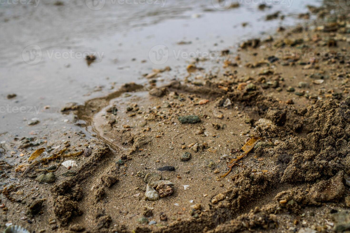 zeichnen ein Zeichen von Liebe auf das Sand von das Küste. foto