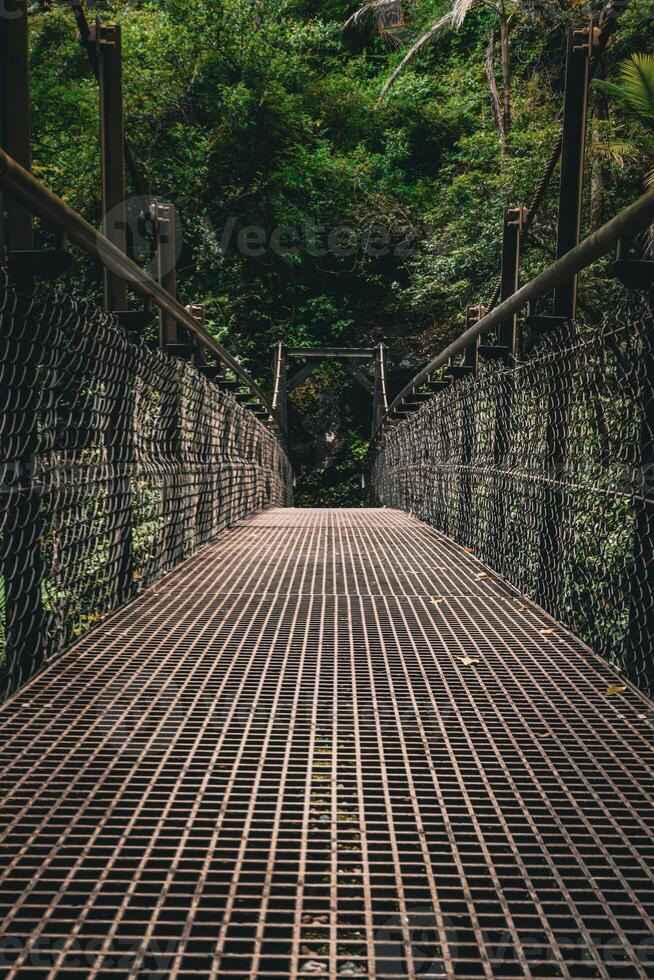 Urwald Brücke Perspektive foto