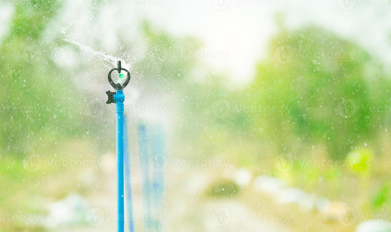 automatisch Sprinkler Bewässerung Grün Pflanze Garten. nachhaltig Landwirtschaft. Sprinkler zum Landwirtschaft. Garten Bewässerung System. Sprinkler Instandhaltung Dienstleistungen. Wasser spritzen. System zum Pflanze Pflege. foto