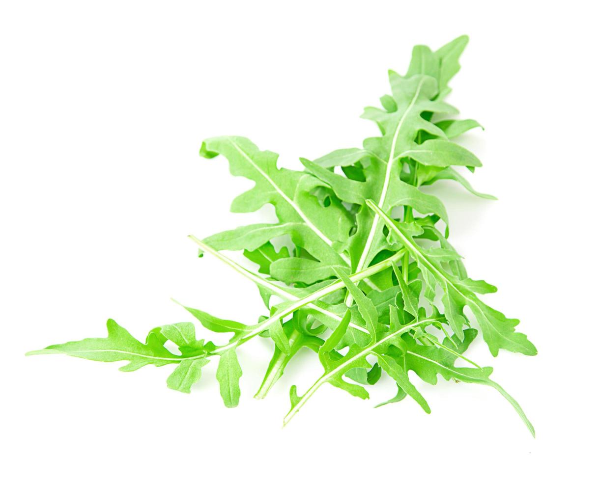 grüner frischer Rucola auf weißem Hintergrund foto