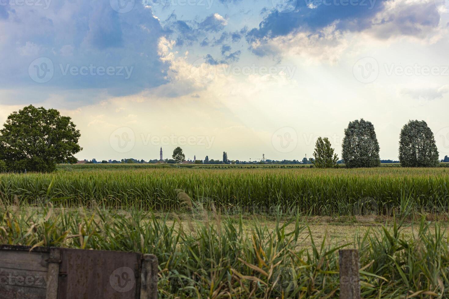 großartig wolkig Himmel Über das Felder foto