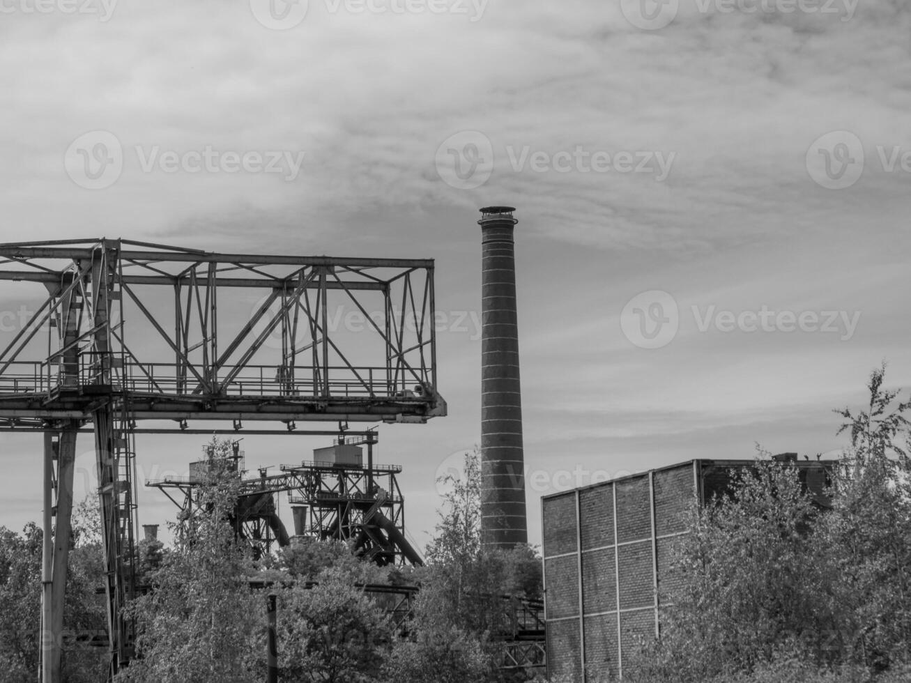 im deutschen Münsterland foto