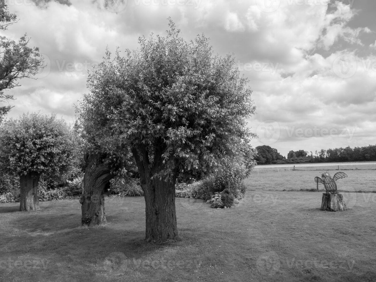 im deutschen Münsterland foto