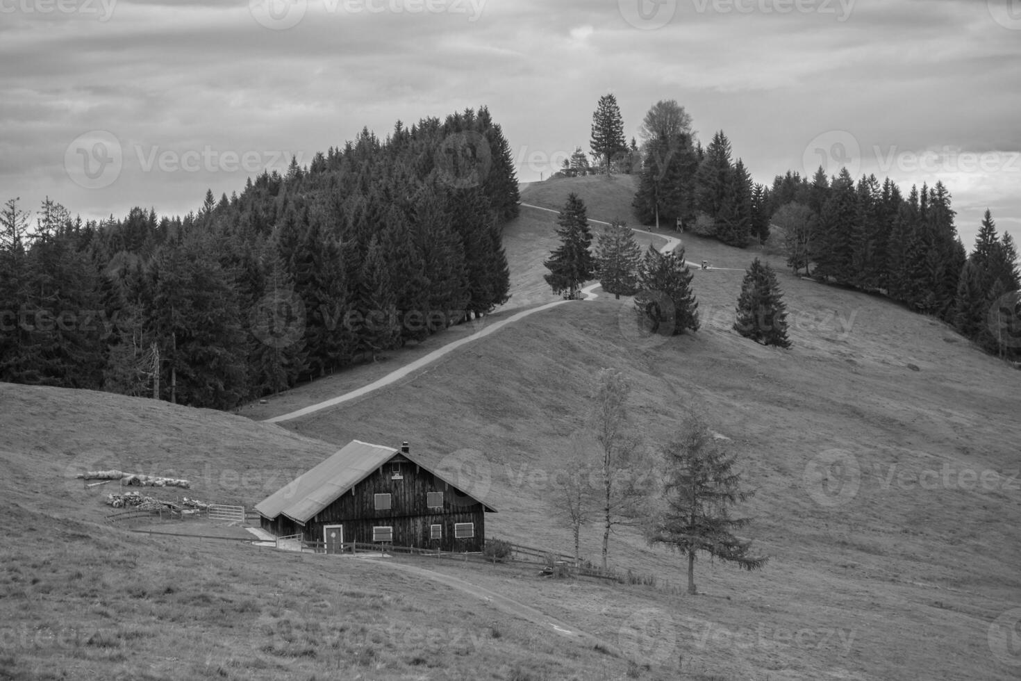 im deutschen Münsterland foto