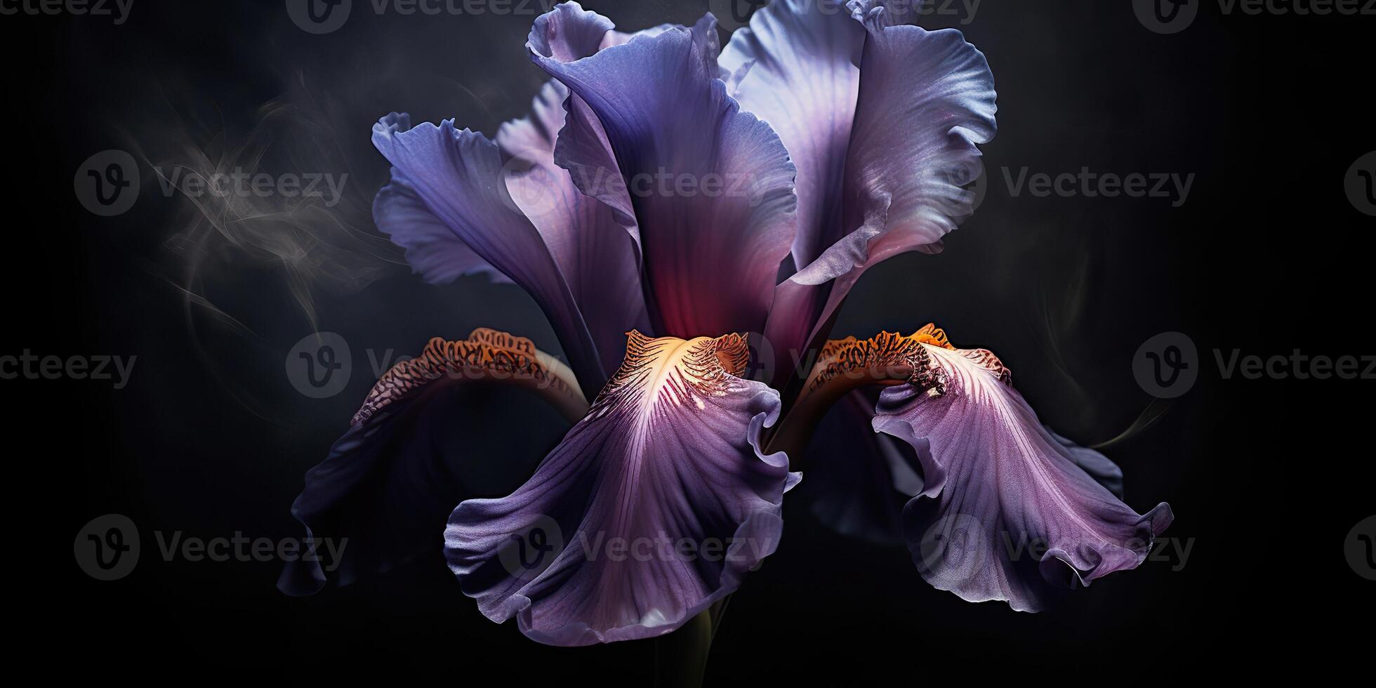 dunkel Pflanze Blumen- Iris Blumen Dekoration Hintergrund Szene foto