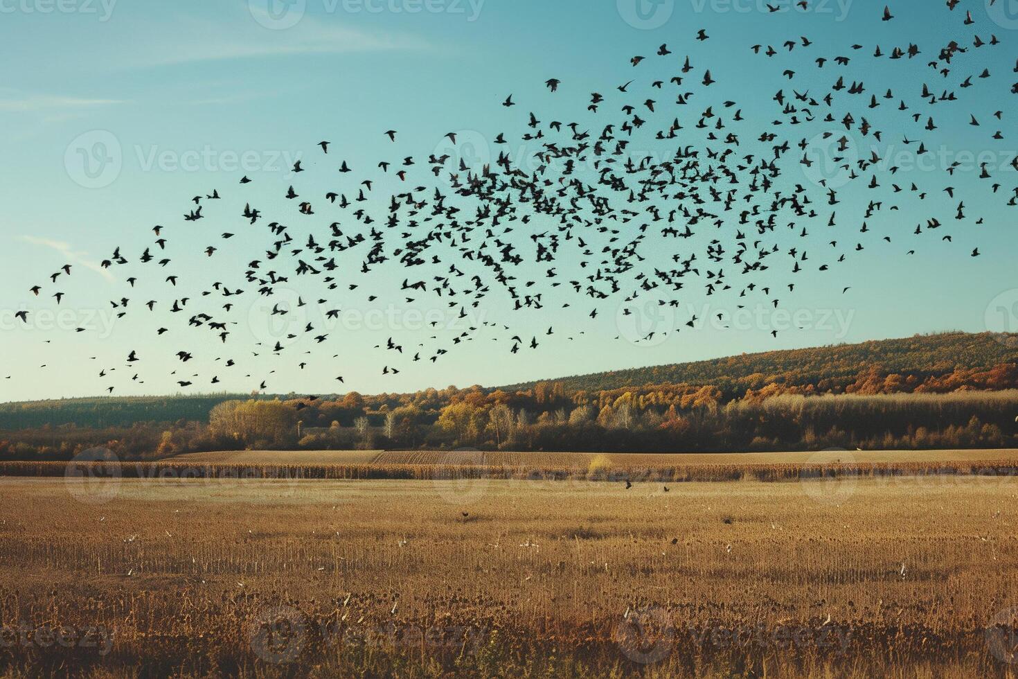 Herde von Vögel Landung im ein Feld, suchen zum Wasser im das spärlich Umgebung Post Hitze foto